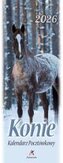 Kalendarz 2026 pocztówkowy 12,5x33cm Konie