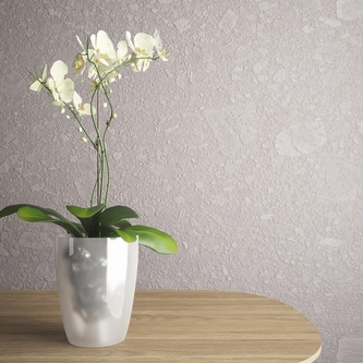 Květináč na orchideje 120 mm Aga, čirý, průhledný