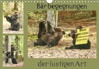 Bärbegegnungen der lustigen Art (Wandkalender 2021 DIN A4 quer)