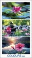 Colours of Nature 2026 - nástěnný kalendář