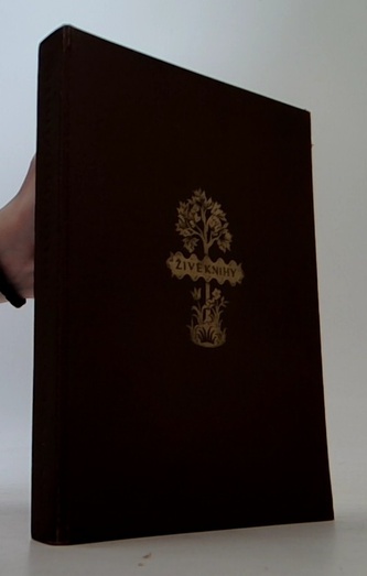 Opatství Typhainské