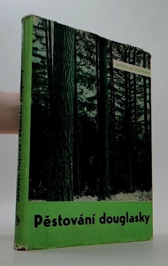 Pěstování douglasky