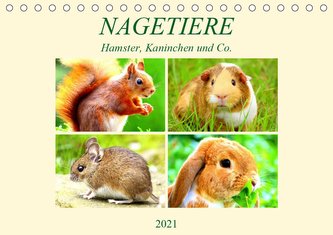 Nagetiere. Hamster, Kaninchen und Co. (Tischkalender 2021 DIN A5 quer)