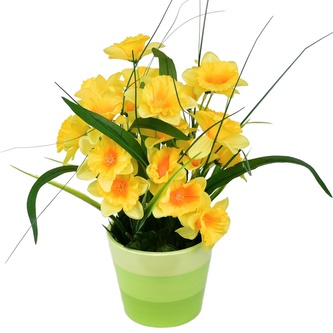Narcisky v keramickém květináči 30×25 cm