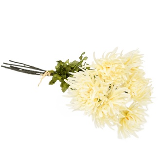 Kytice krémových chryzantém 6 ks, 70 cm
