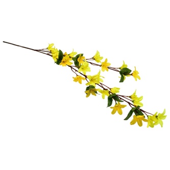 Forsythia - zlatý déšť 70 cm