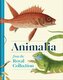 Animalia
