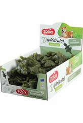 Pochoutka DIPLODENTAL dinosaurus M chlorofyl 56ks Zolu