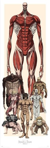 Plakát, Obraz - Attack on Titan, 53 × 158 cm