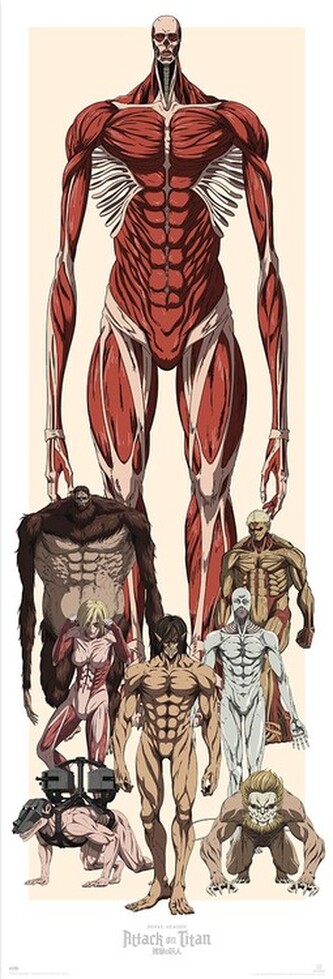 Plakát, Obraz - Attack on Titan, 53 × 158 cm