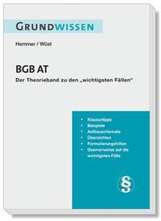Grundwissen BGB AT  -  der Therorieband zu den wichtigsten Fällen