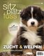 SitzPlatzFuss, Sonderausgabe November 2020