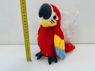 PAPUGA POWTARZAJĄCA 2000746