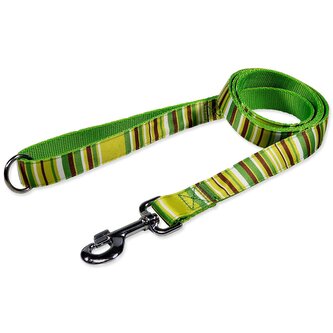 Vodítko BAF nylon proužky zelené 2,5x150cm