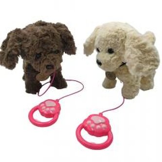 Piesek chodzący mix