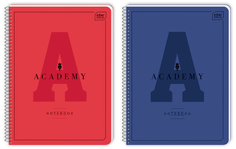 Kołonotes A4 80 k. linia Academy Hybrid, Interdruk