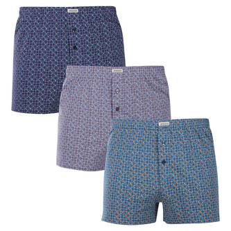 3PACK pánské trenky Andrie vícebarevné (PS 5895) L