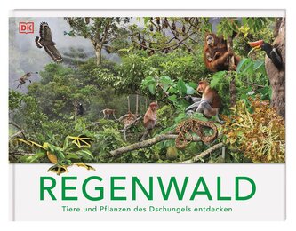 Regenwald