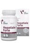 VetExpert Hepat.Forte Small Breed&Cats40cps(Twist off)