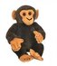 Małpa szympans 22cm