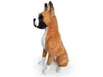 Pies Bokser 65cm