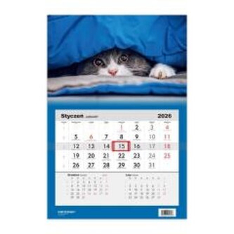 Kalendarz 2026 jednodzielny Kot HELMA