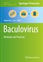 Baculovirus