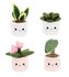 Plant Bobballs 12cm mix