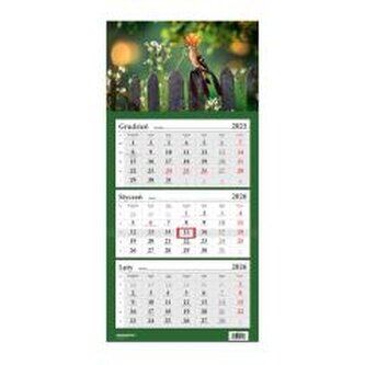 Kalendarz 2026 trójdzielny Ptak dudek HELMA