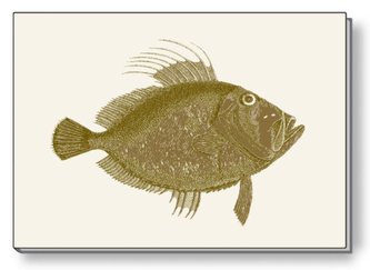 Notes ozdobny A5 BR NP S28 C ROSSI