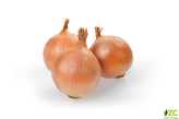 Sazečka - Augusta ozimá 500 g (7-14 mm) /cena bez slev/