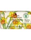 FLORINDA-ŘEKNI TO KVĚTINOU: Rostlinné mýdlo „Narcis“ 100g TML K2109