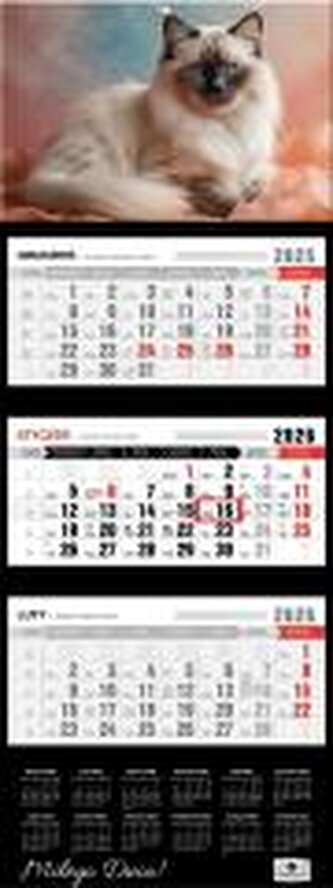 Kalendarz 2026 trójdzielny premium kot