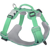Red Dingo postroj Sport – Pastel Green – 25 mm x 75-112 cm