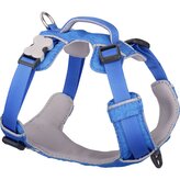 Red Dingo postroj Sport – Electric Blue – 25 mm x 75-112 cm