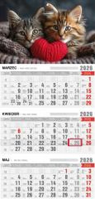 Kalendarz 2026 trójdzielny ekonomiczny kotki