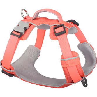 Red Dingo postroj Sport – Hi-Vis Peach – 20 mm x 47-64 cm