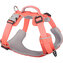Red Dingo postroj Sport – Hi-Vis Peach – 20 mm x 47-64 cm