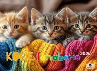 Kalendarz 2026 Ścienny albumowy kocie fanaberie