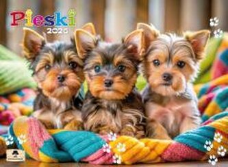 Kalendarz 2026 ścienny albumowy pieski