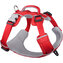 Red Dingo postroj Sport – Red – 15 mm x 38-53 cm