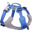 Red Dingo postroj Sport – Electric Blue – 15 mm x 38-53 cm