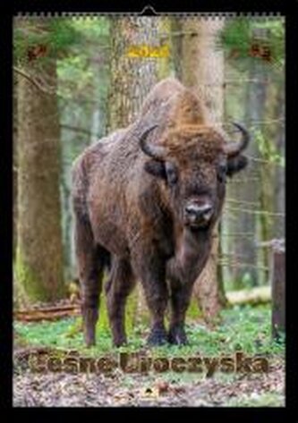 Kalendarz 2026 A2 ścienny jednostronny uroczyska