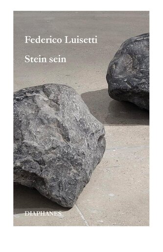 Stein sein