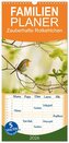 Familienplaner 2026 - Zauberhafte Rotkehlchen mit 5 Spalten (Wandkalender, 21 x 45 cm) CALVENDO