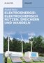 Elektroenergie: Elektrochemisch nutzen, speichern und wandeln