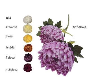 Chryzantéma žlutá 70 cm