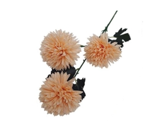 Chryzantéma losos 65 cm