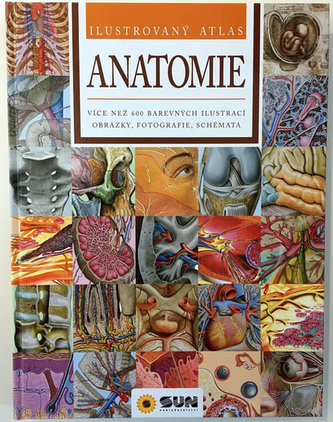 Anatomie - Ilustrovaný atlas Anatomie - Ilustrovaný atlas