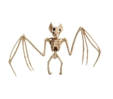 Kostlivec netopýra 30 x 16 cm